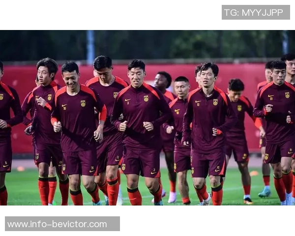 国足选帅如同刮彩票投入不足导致失败风险加大